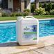 Шоковий рідкий альгіцид Froggy Algicide Shock L230 20 л для басейну, швидкодіючий засіб проти водоростей L0230-02 фото 1